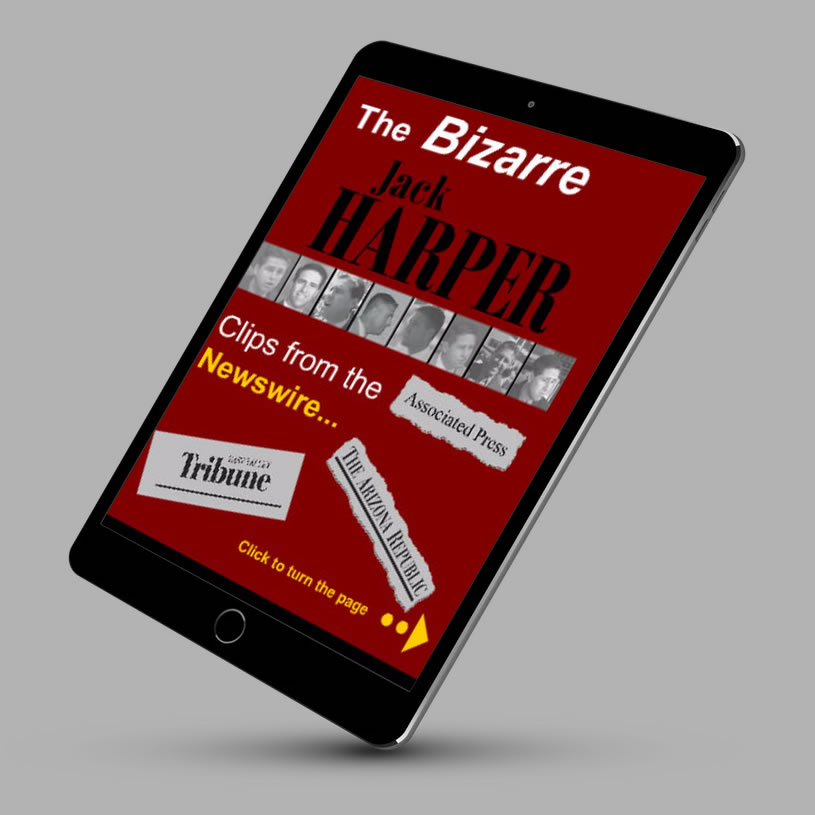 Flip Book